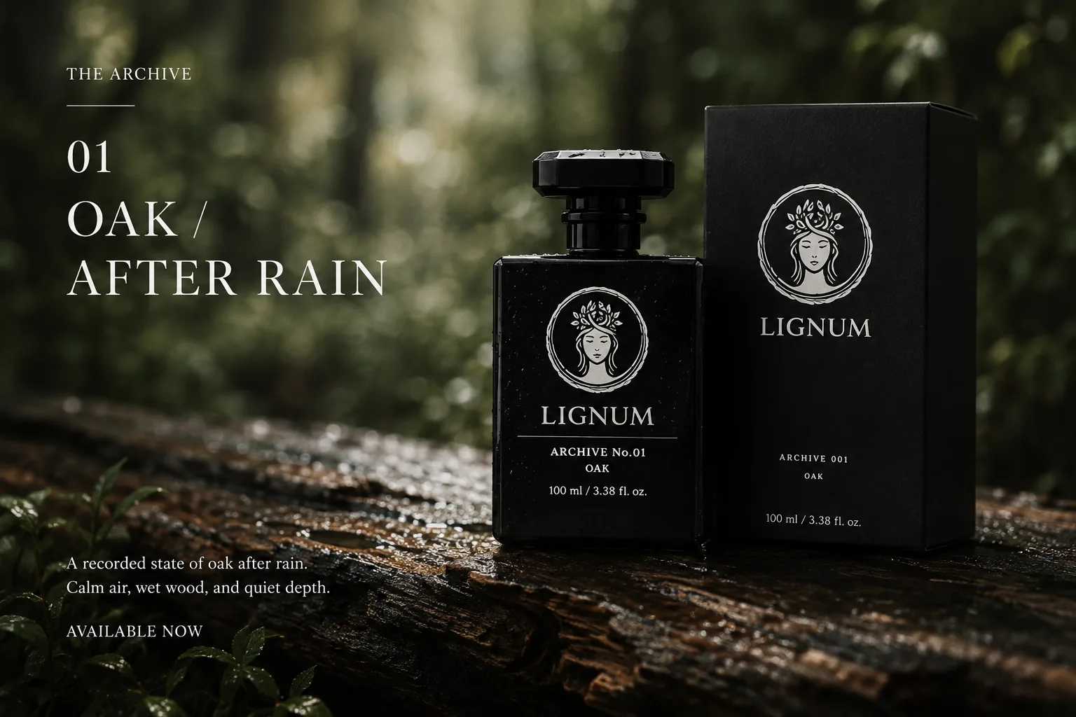 Archive No.01, Oak / After Rain — available now