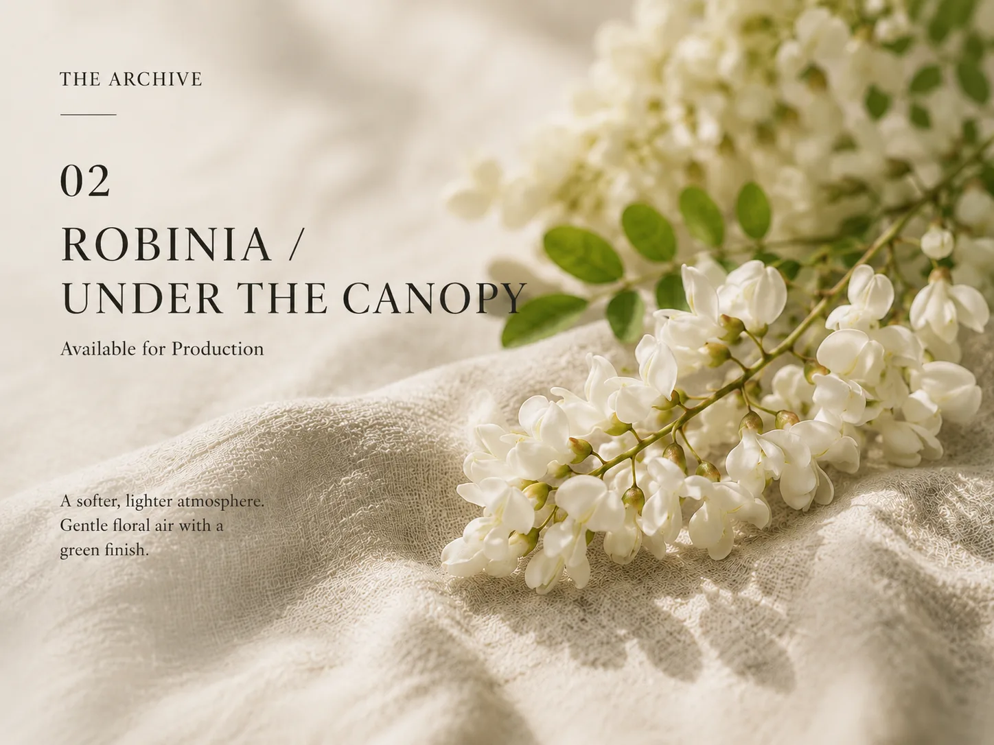 Archive No.02, Robinia / Under the Canopy — available for production