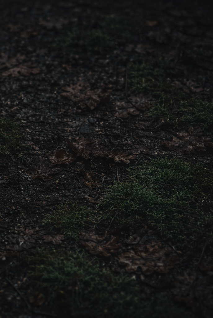 MOSS